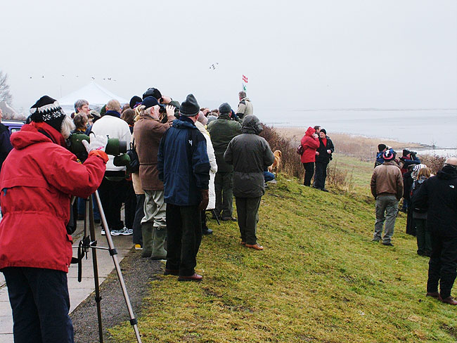 image/dof_oernenes_dag-07.jpg