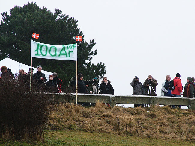 image/dof_oernenes_dag-11.jpg