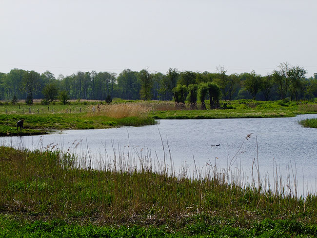 image/skenkelsoe_omraadet-215.jpg