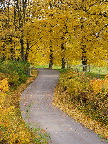 image/_efteraarsfarver-073.jpg