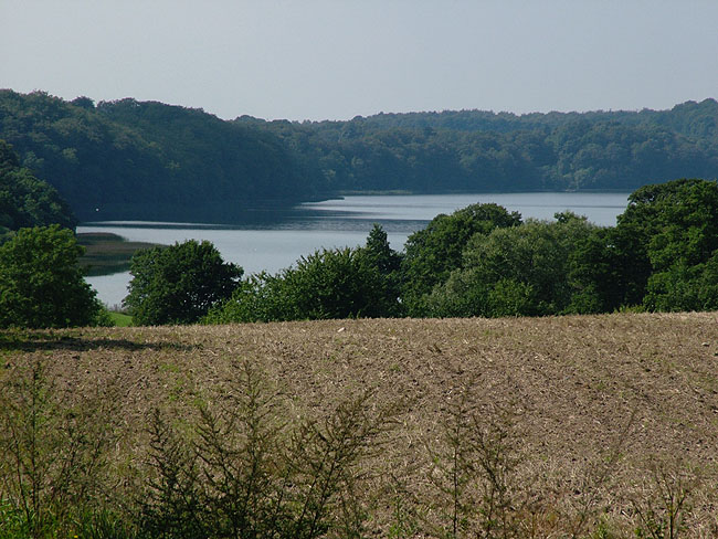 image/furesoen-07.jpg