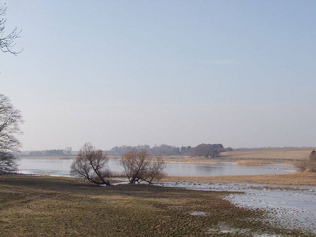 image/gundsoemagle_soe-742.jpg