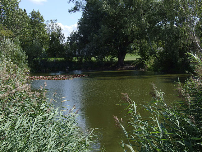 image/lille_soe-493.jpg