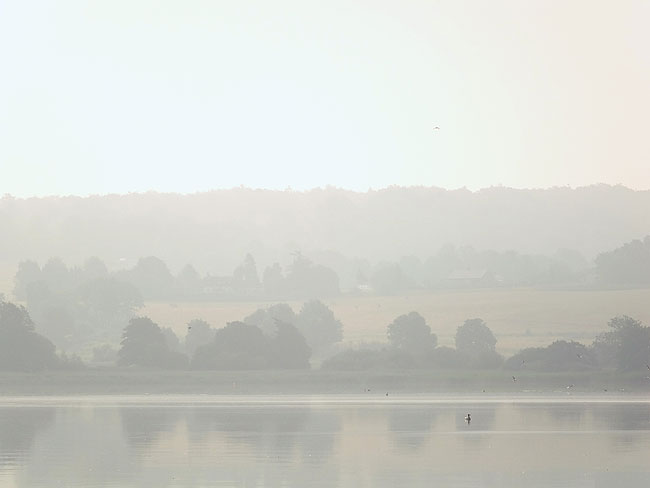 image/morgentaage_sjaelsoe-089.jpg