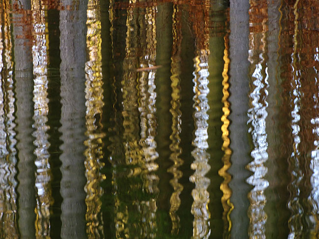 image/reflektioner_i_vand-568.jpg