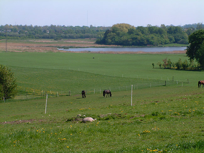 image/skenkelsoe-86.jpg