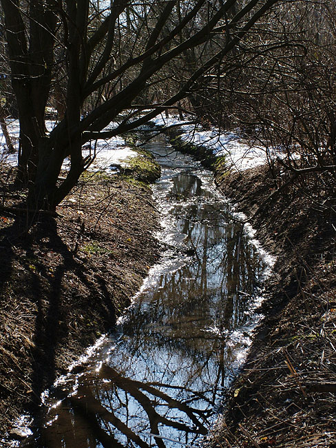 image/skovbaek-13.jpg