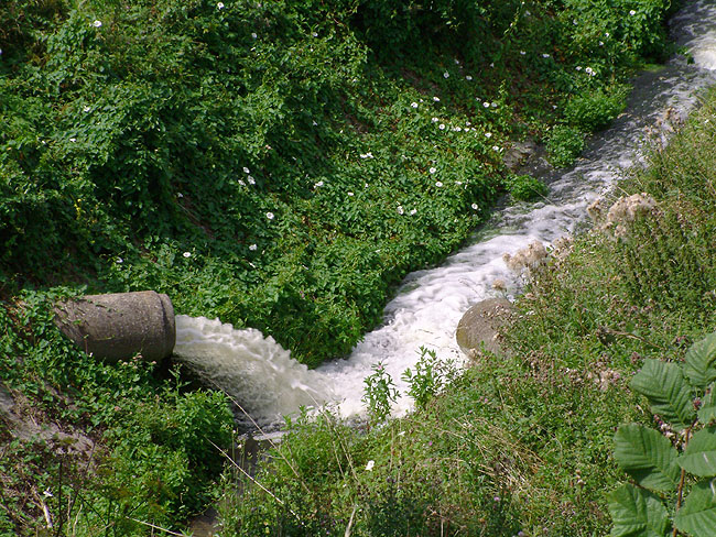 image/udloeb_kedelsoe_aa-94.jpg