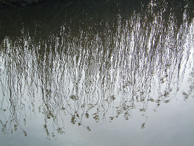 image/vandspejling-01.jpg