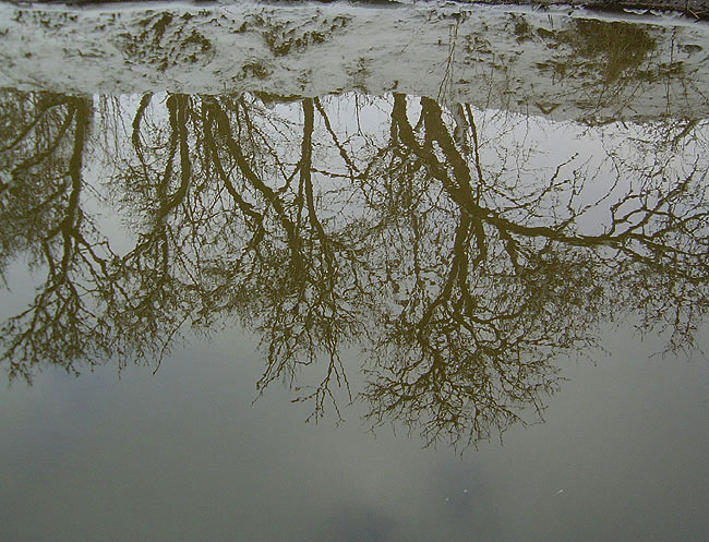 image/vandspejling-05.jpg
