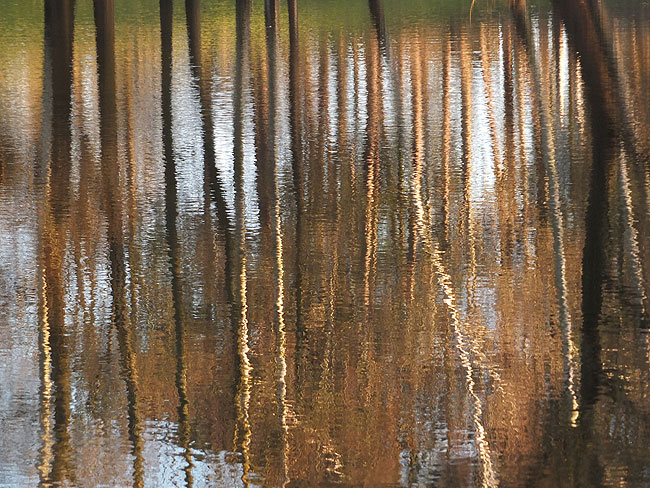 image/vandspejling-565.jpg