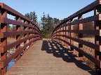 image/_ny_traebro-296.jpg
