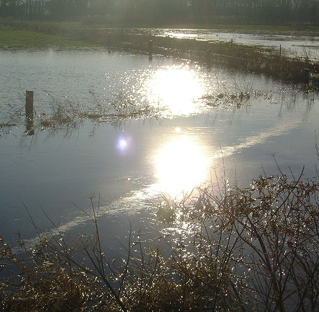 image/aadalen-10.jpg