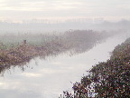 image/_vaerebro_aa-075.jpg