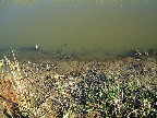 image/_vaerebro_aa-118.jpg
