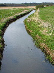 image/_vaerebro_aa-283.jpg