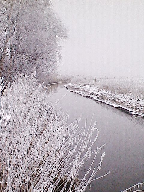 image/vaerebro_aa-001.jpg