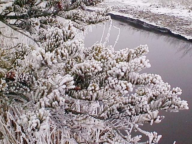 image/vaerebro_aa-002.jpg