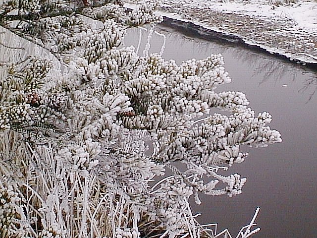 image/vaerebro_aa-003.jpg
