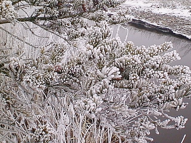 image/vaerebro_aa-004.jpg