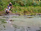 image/_vestrehus_naturskole-402.jpg