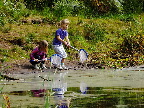 image/_vestrehus_naturskole-476.jpg