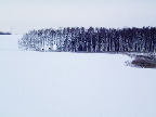 image/_landskab_sne-56.jpg