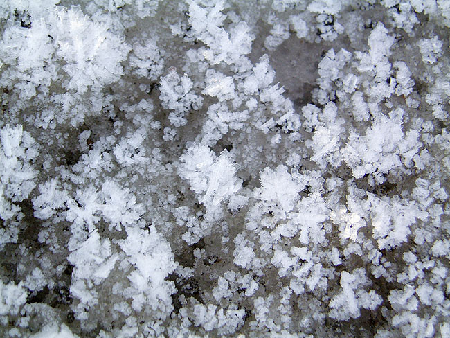 image/frost_sne_is-02.jpg