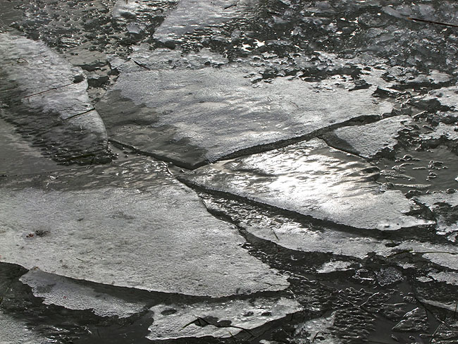image/groedis-190.jpg