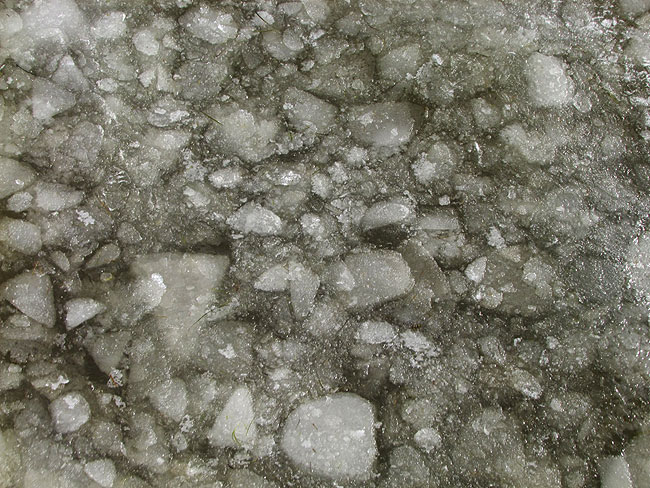 image/groedis-755.jpg