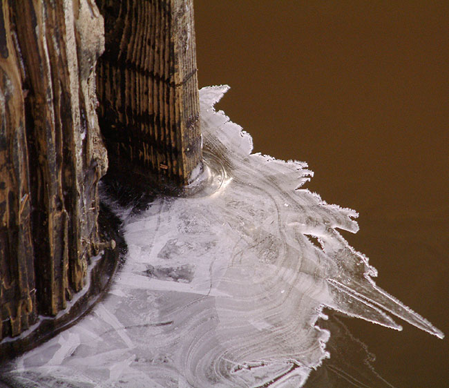 image/is-01.jpg