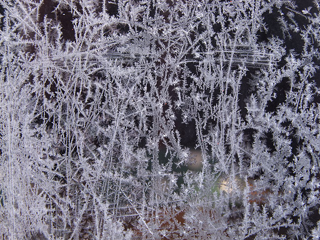 image/isblomster-012.jpg