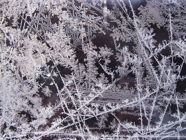 image/isblomster-013.jpg
