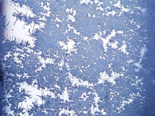 image/isblomster-181.jpg