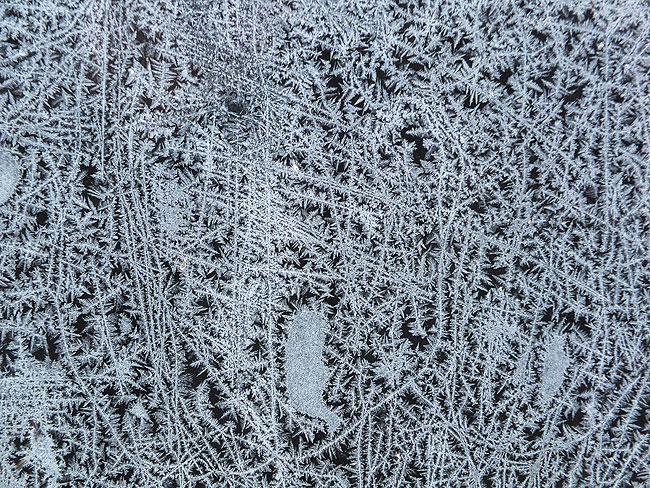image/isblomster-6119.jpg