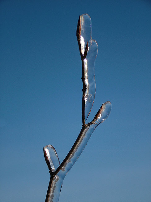 image/isslag-54.jpg
