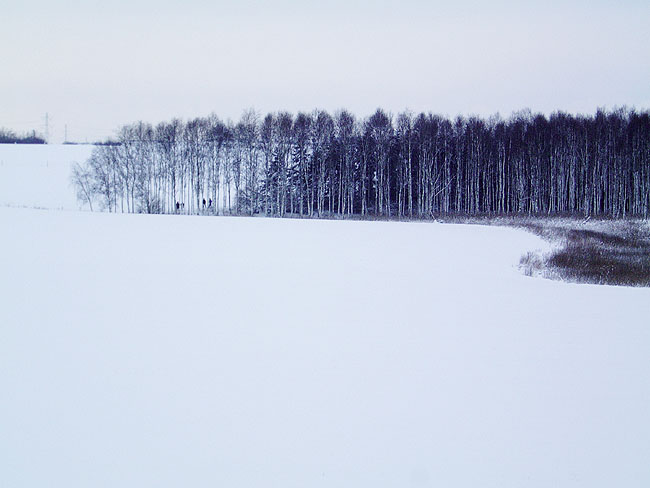 image/landskab_sne-56.jpg