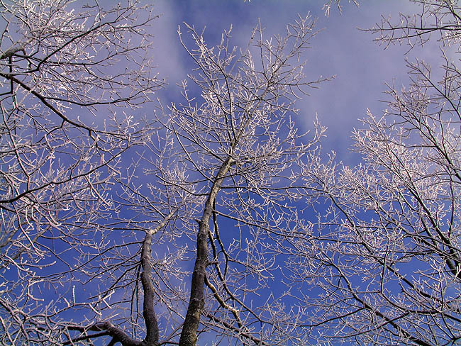 image/rimfrost-19.jpg