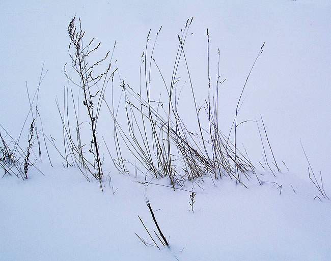 image/sne-16.jpg