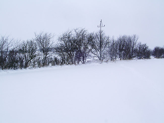 image/sne_landskab-09.jpg