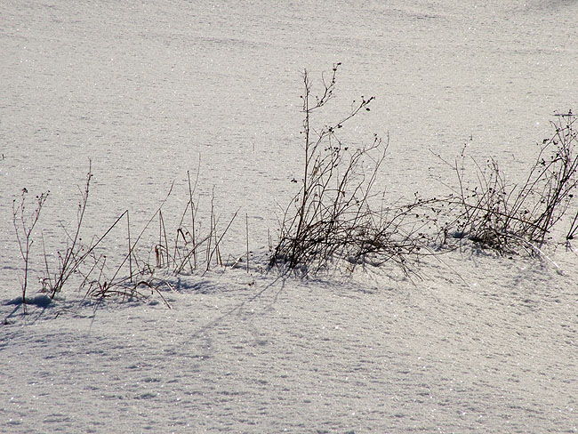 image/vinter-63.jpg