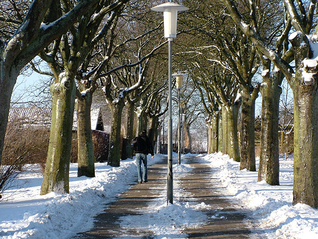 image/vinter-82.jpg