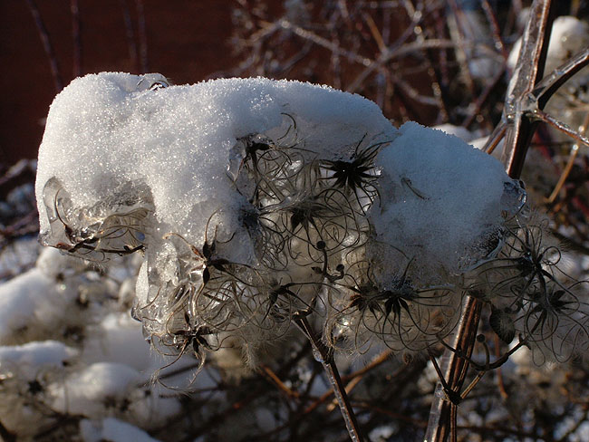 image/vinter-97.jpg