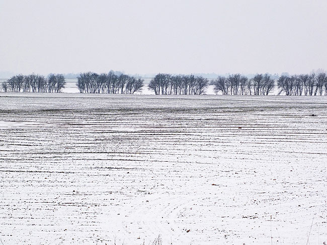 image/vinter_landskab-907.jpg