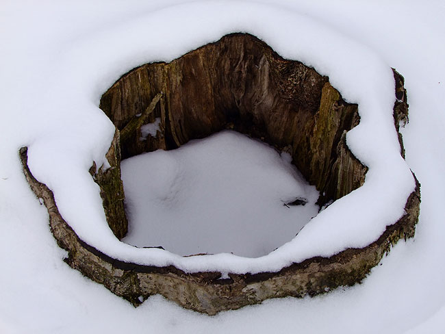 image/vinter_sne-813.jpg
