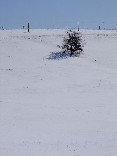 image/vinter_sne-833.jpg