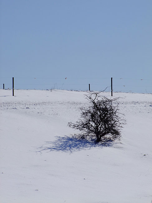 image/vinter_sne-834.jpg