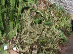 image/_botanisk_have-148.jpg