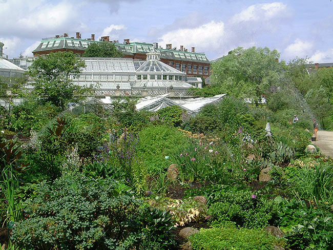image/botanisk_have-046.jpg