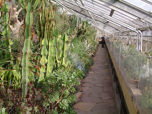 image/botanisk_have-172.jpg